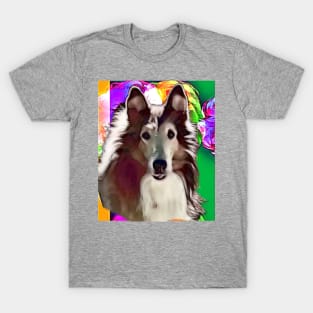 Jay-Boy, the wonderboy collie T-Shirt